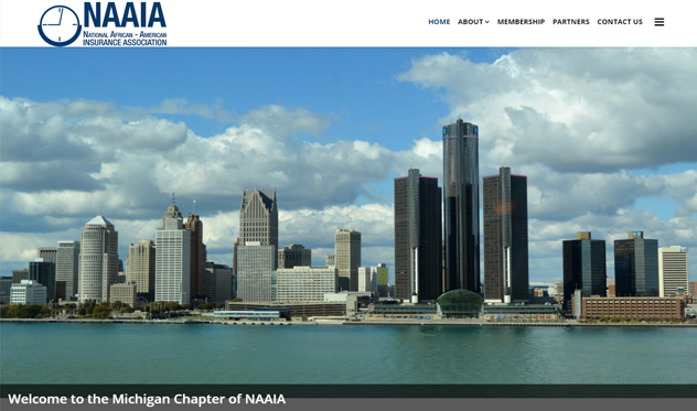 NAAIA-Detroit Chapter Image